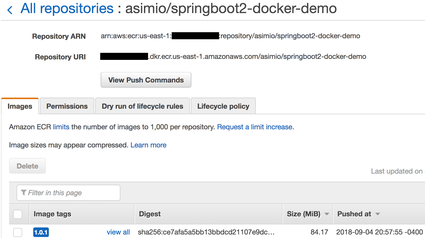 Pushing a Docker image to an AWS ECR repository